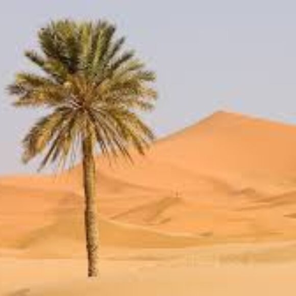 Other - BUNDLE & SAVE